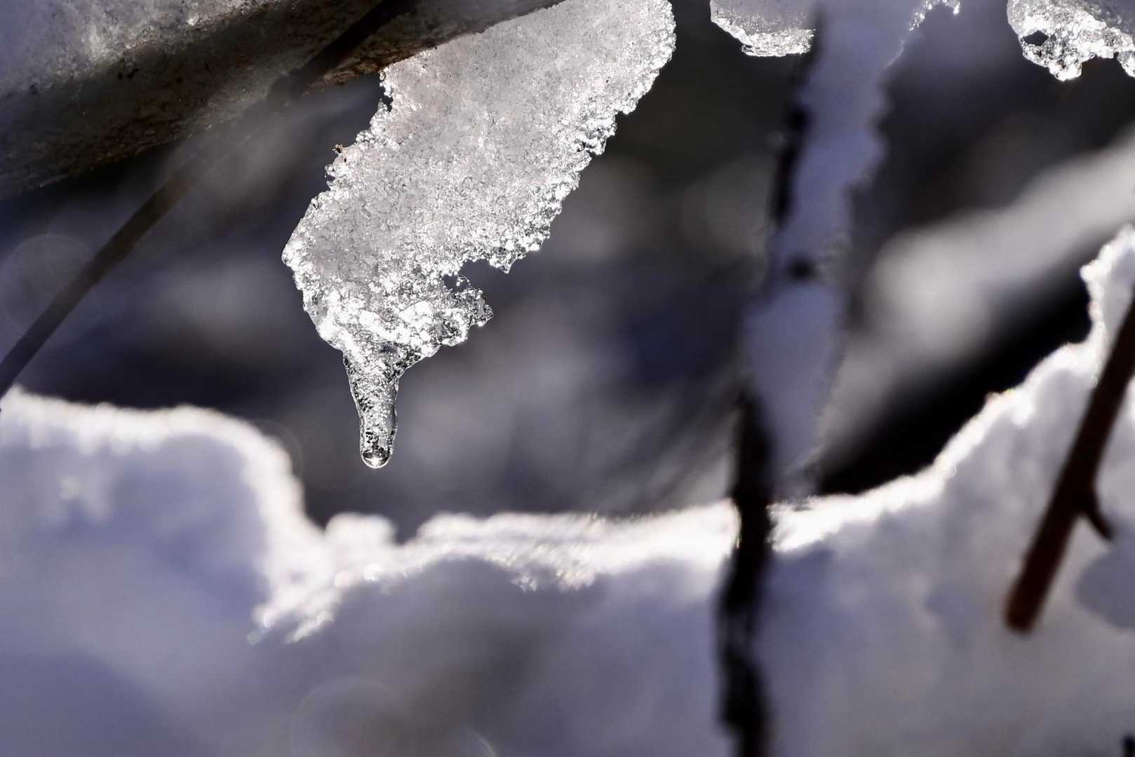 🤩