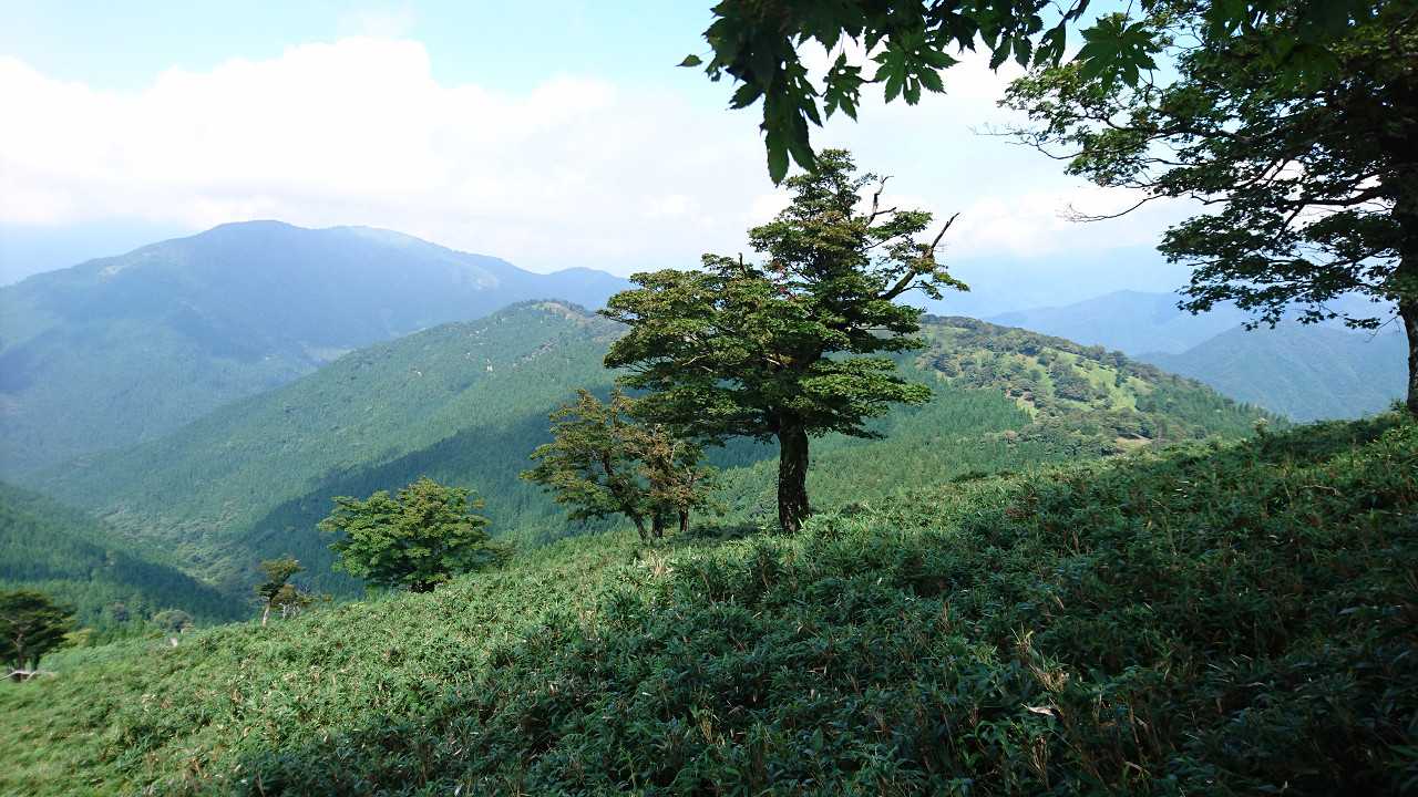何回来ても良い感じです