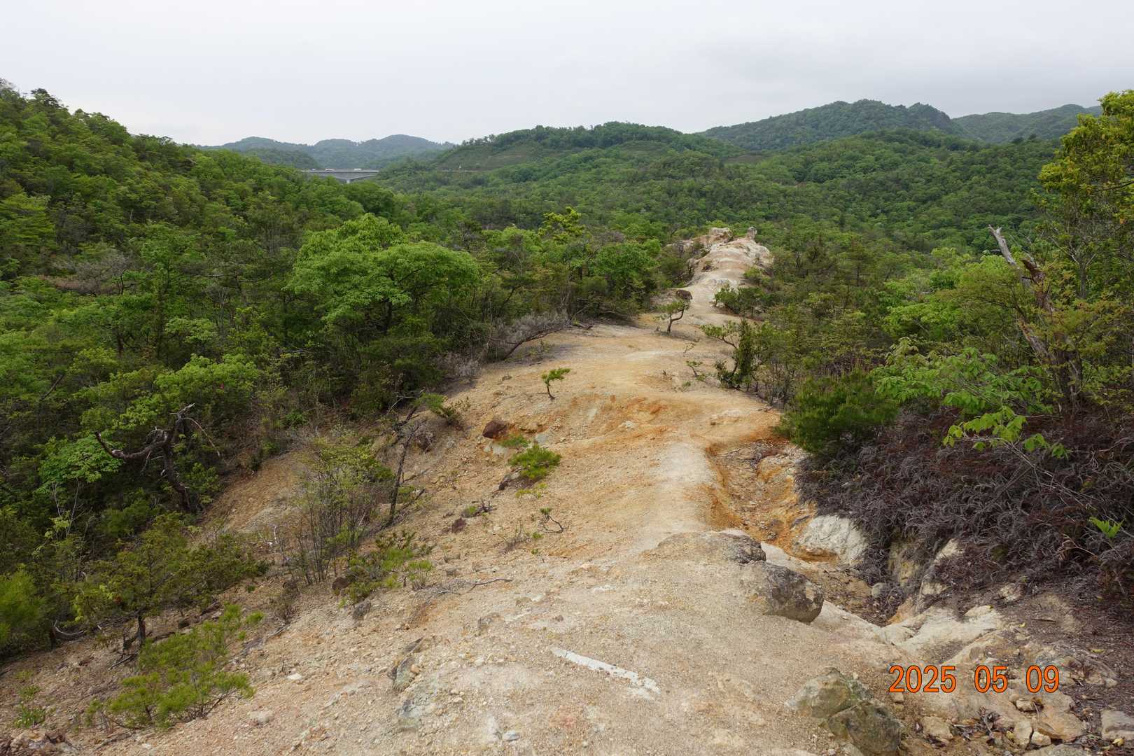 大岩ヶ岳登山口-大岩岳 縦走コースの写真