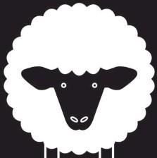 羊🐏