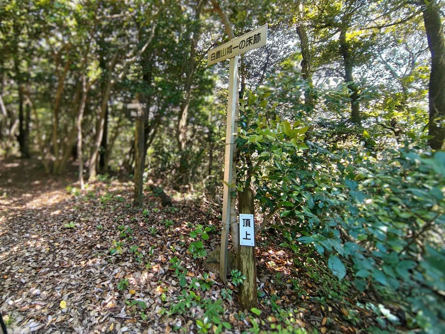 …が、ちょっと迷いそうでしたが到着🙌
