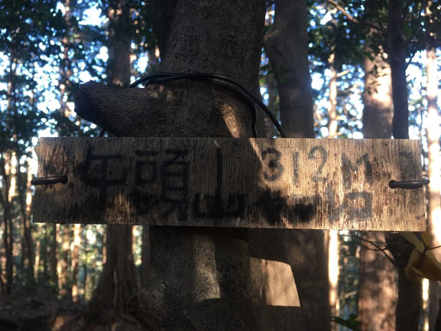 午頭山の写真