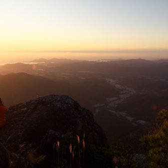 あと逆光写真もレンズの性能が顕著でした。特にフレアが。