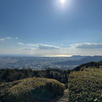 頂上には展望台もありました。