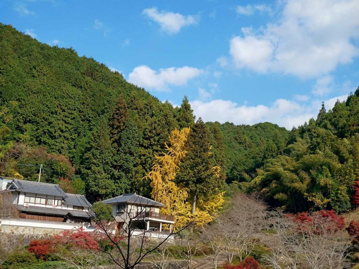 壺阪山駅-高取山-高取城跡入口-高取城登山道入口-壷阪寺前 周回コースの写真