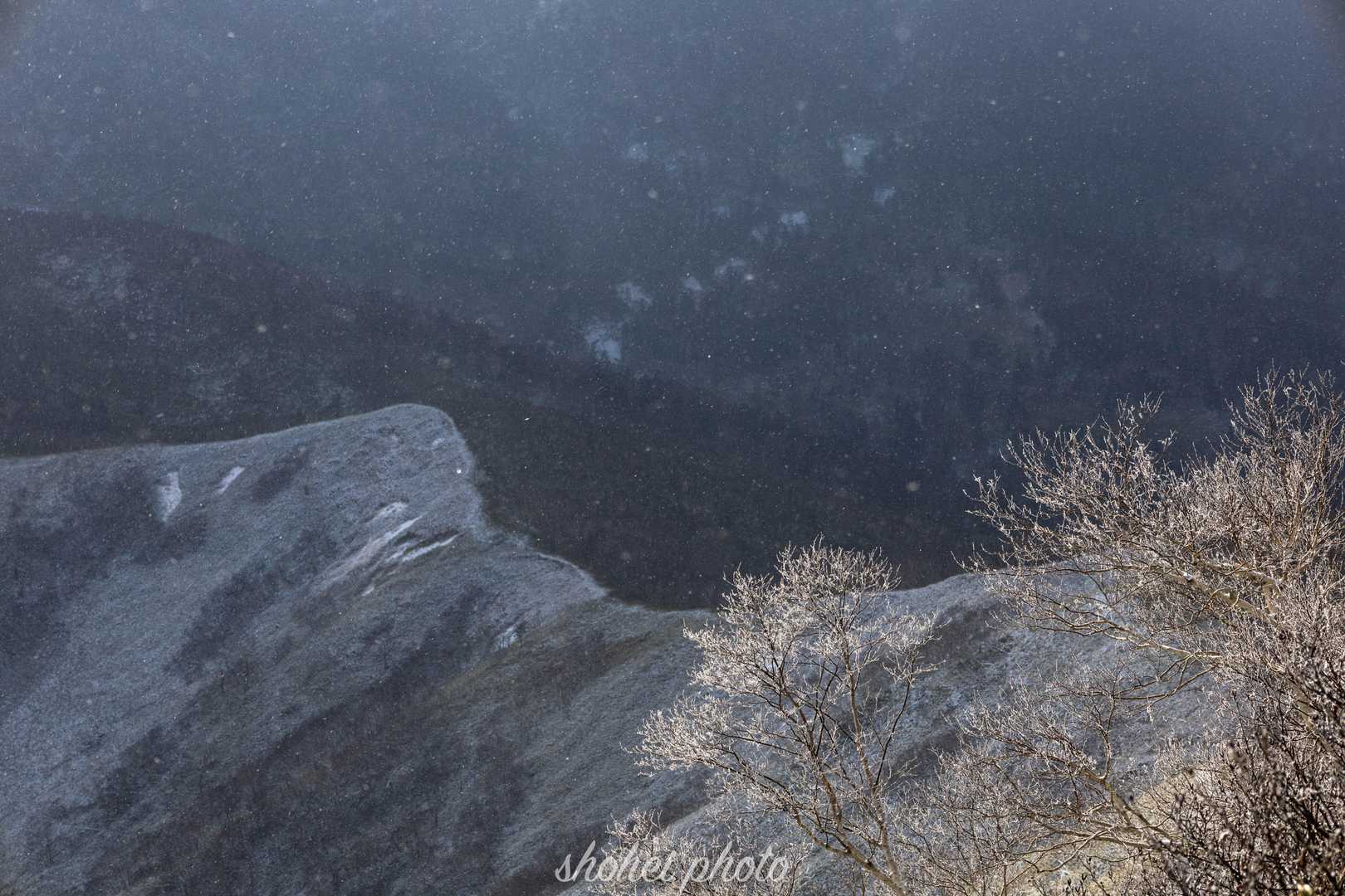 白樺平-オダッシュ山 往復コースの写真