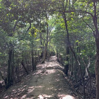 のんびりと比叡山を楽しみました。
お疲れ山！