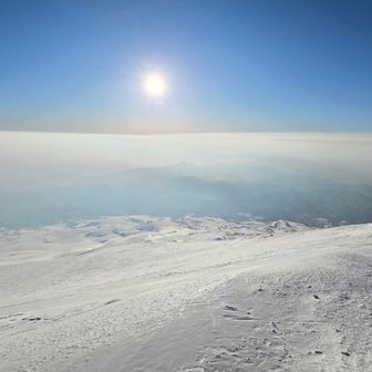 昨日は見られなかった景色