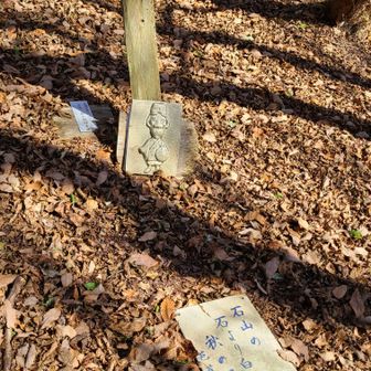 下山途中で、気づいた💦
ここでいっく…
『むざんやな 落ちてしもうた 芭蕉さま』
読み人？ワタクシ🤣