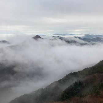 ふと横をみると