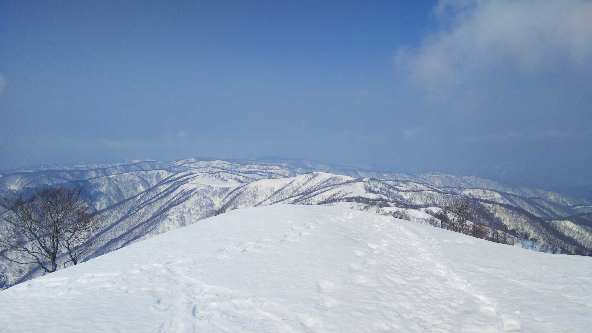 上谷山🏔️からの展望👍😆
うねうねしてますね💦
