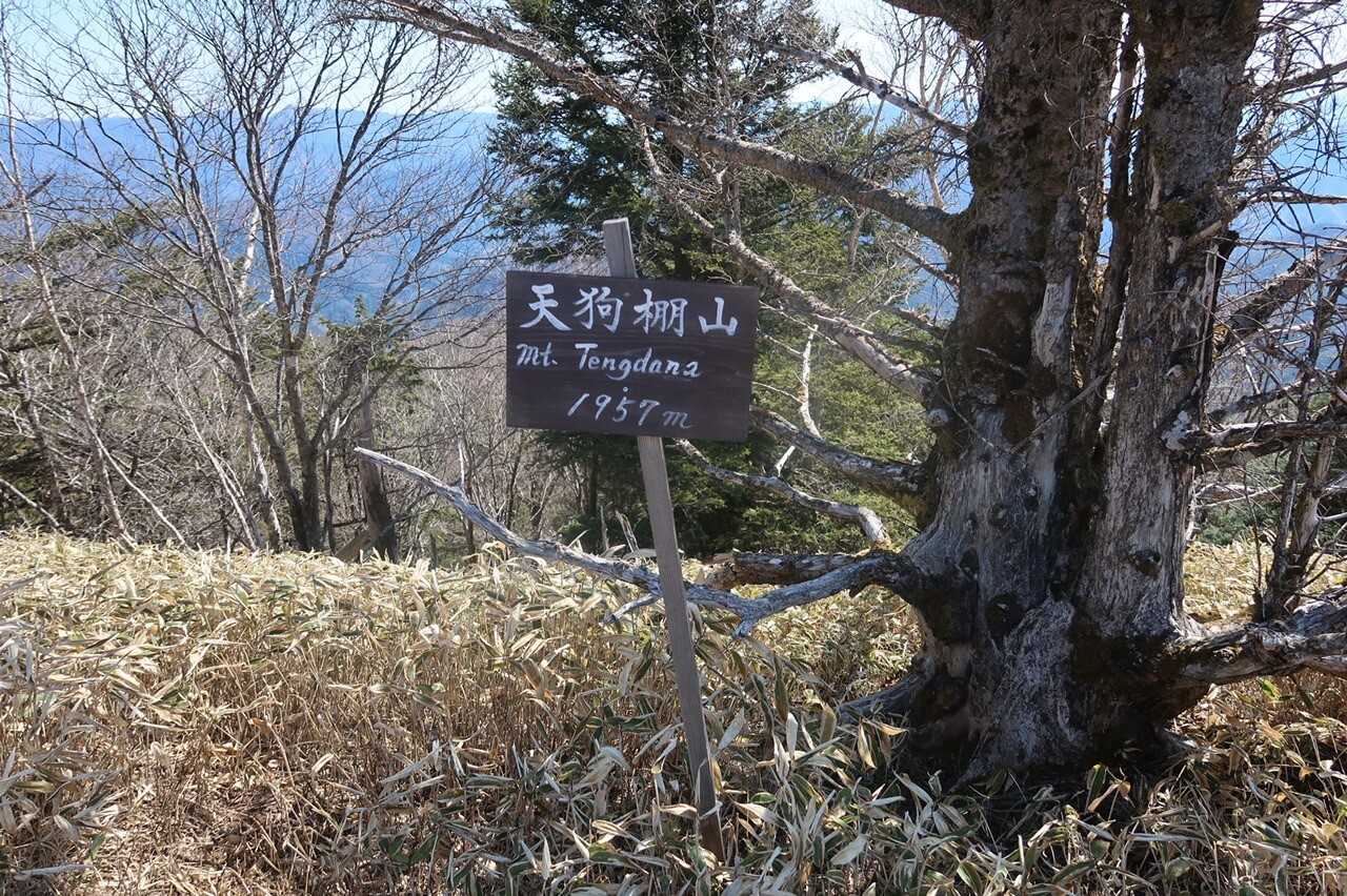 天狗棚山の写真