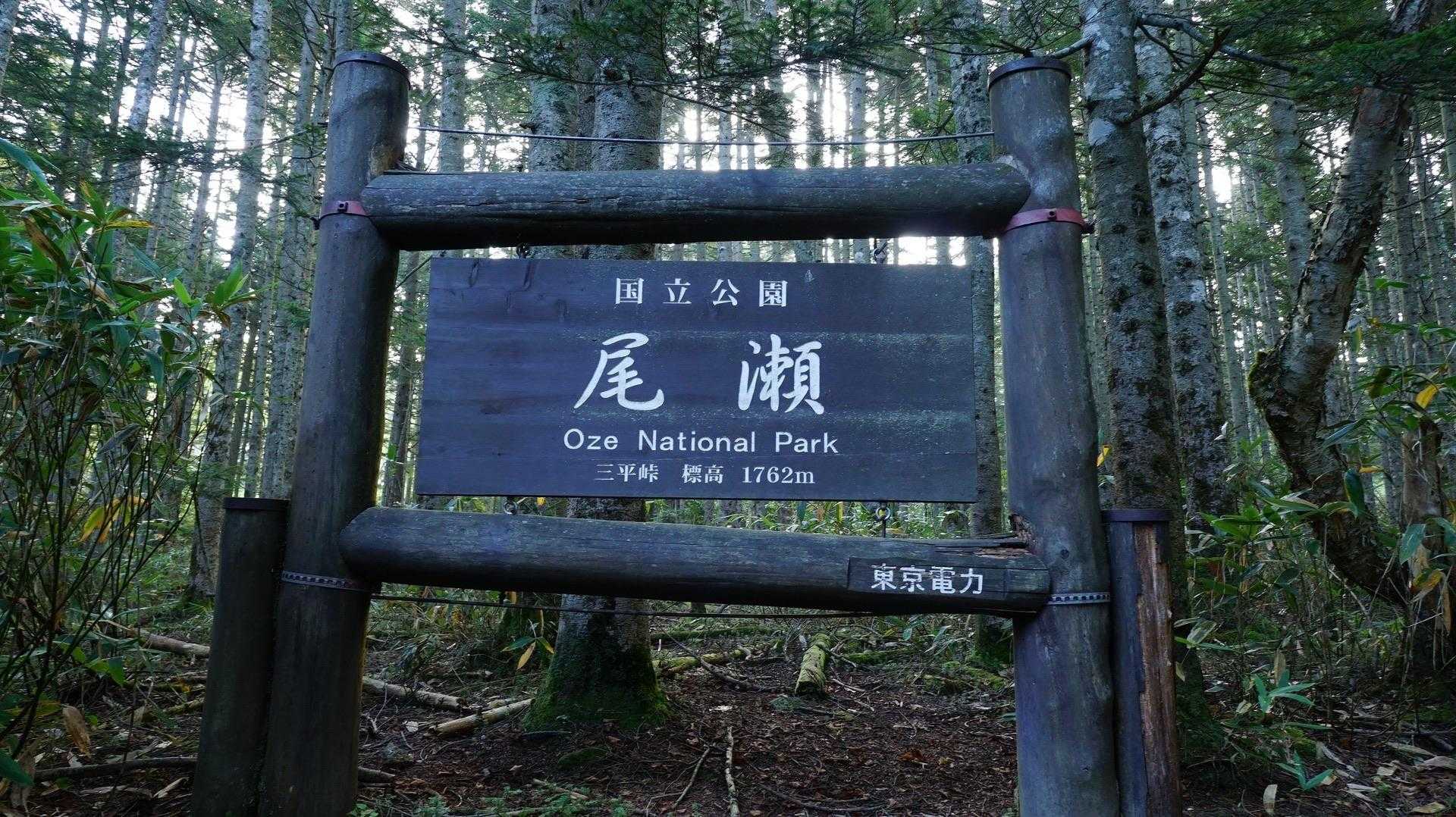 尾瀬に来たなーって実感🥹