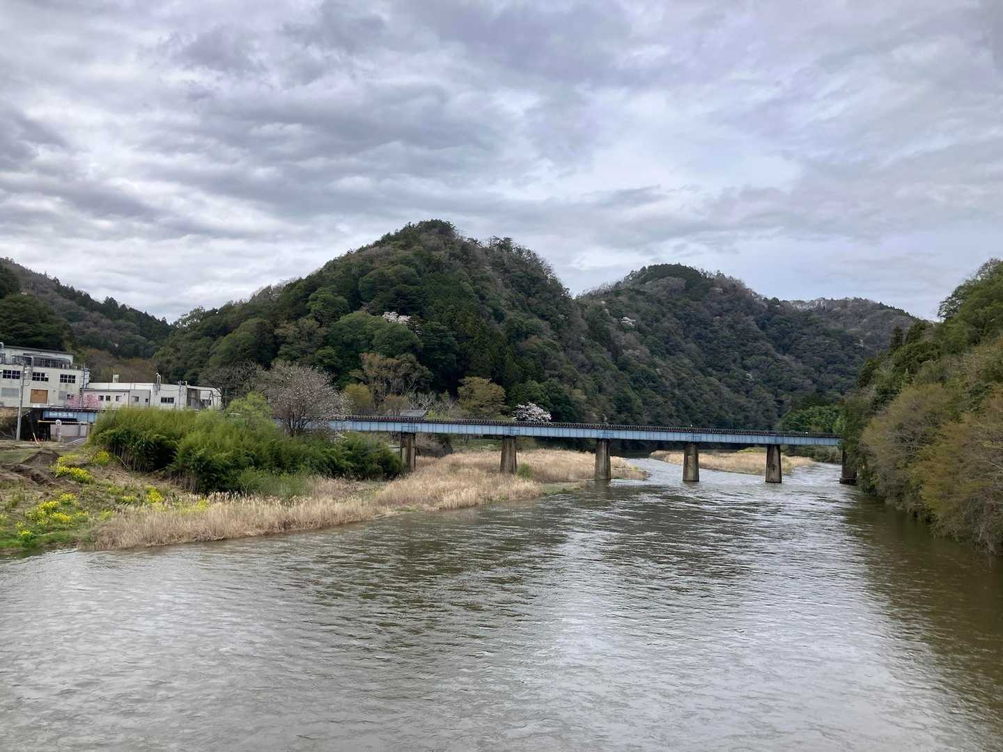 雲の多い1日でしたが、春らしい山肌に癒されました☘️青い水郡線の橋