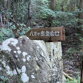 やっと登山口⛰️