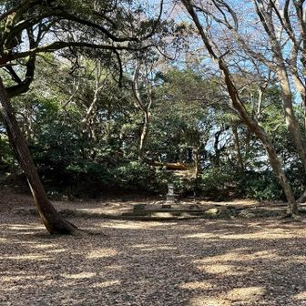 広く開けていて、小さな祠がひっそりと建っていた。