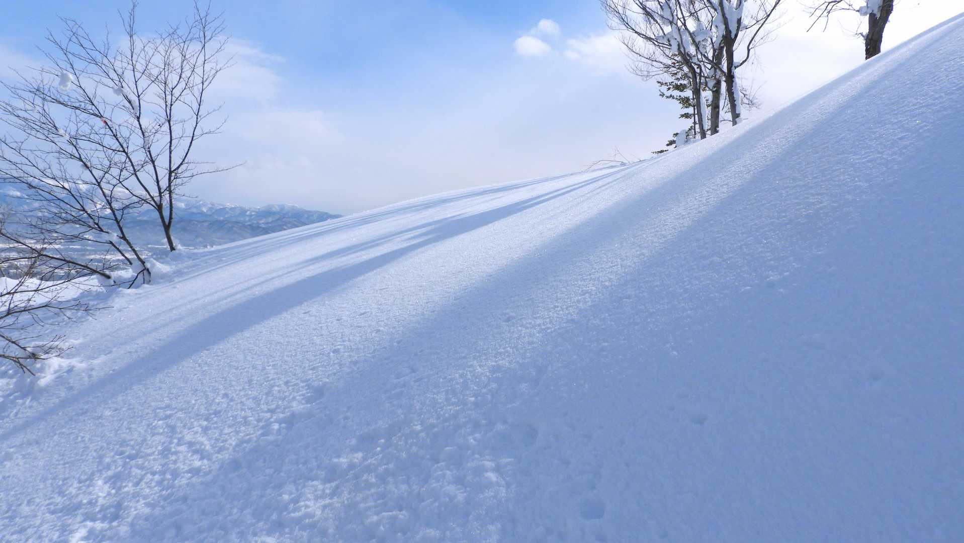 峰の道分岐まで戻りました。今日はこれが最後の日差し