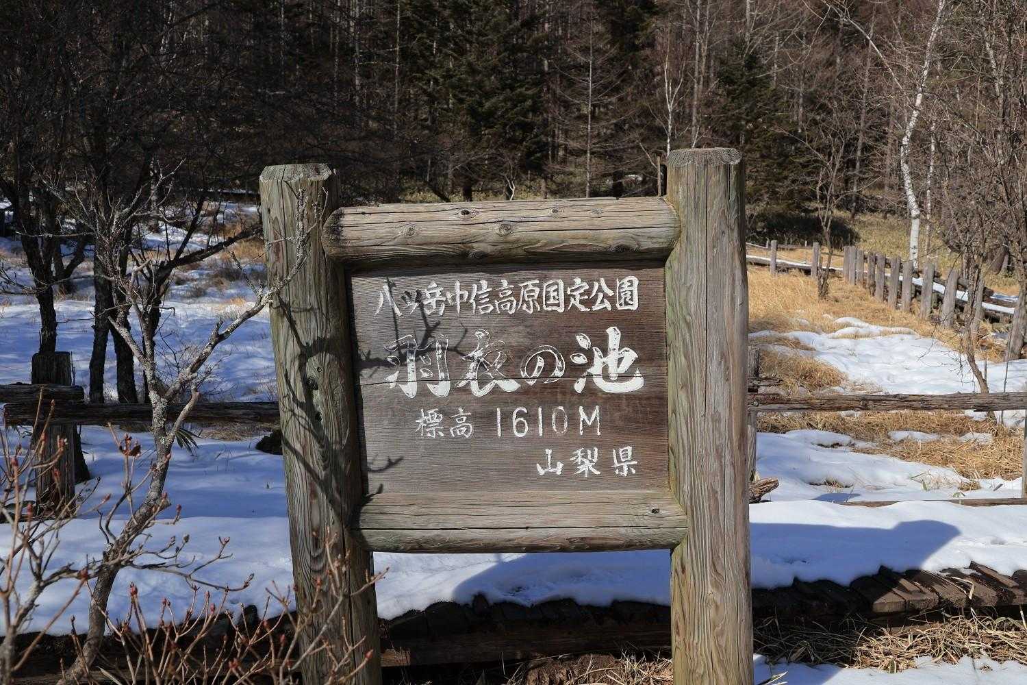 羽衣池をぐるっと
