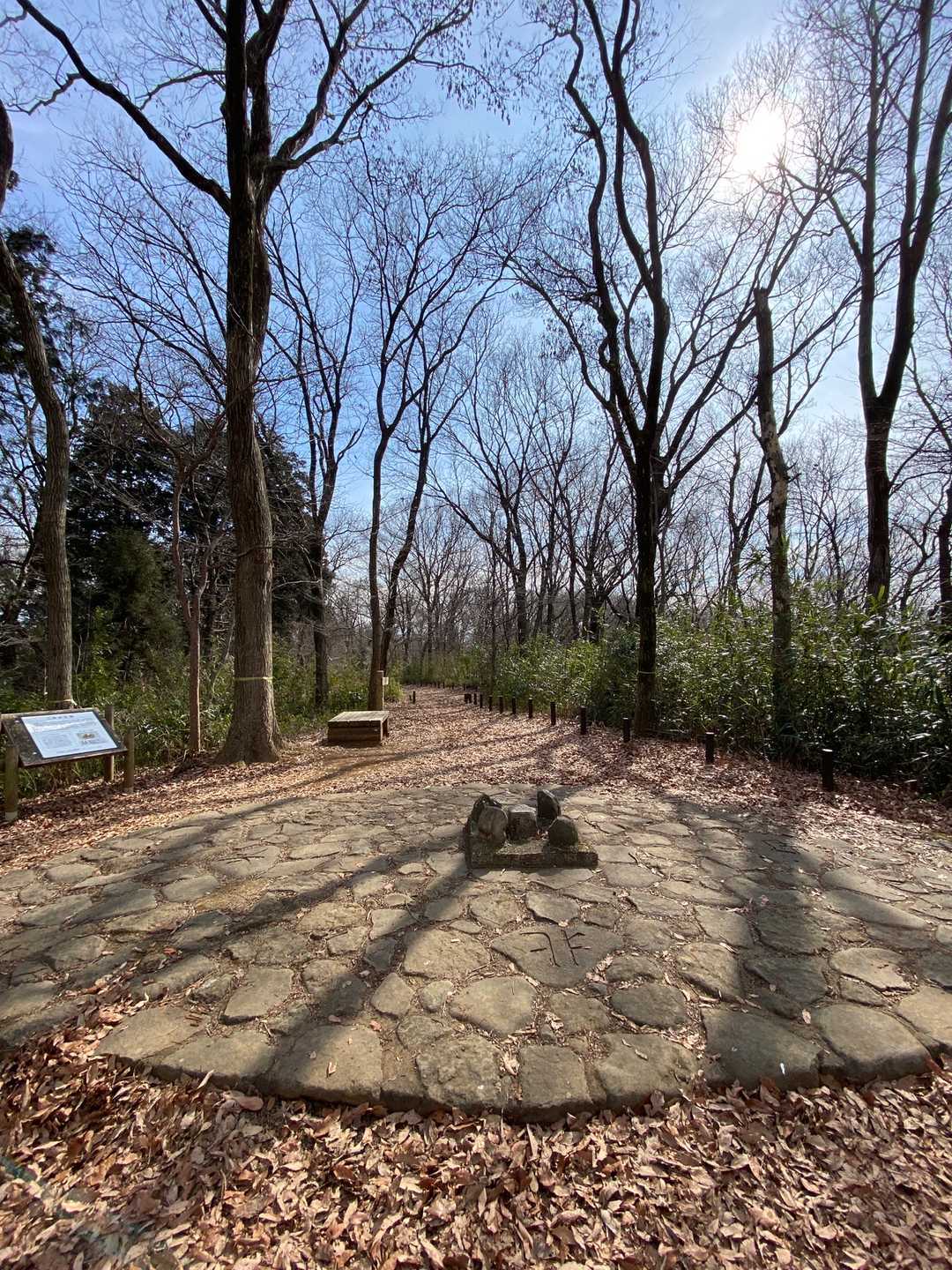 三角点通過🐾