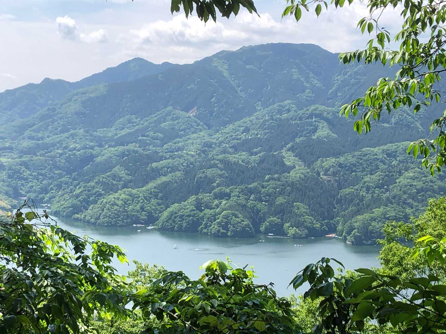 相模湖と日連アルプス