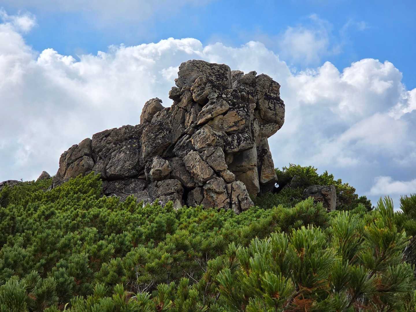 永山岳-安足間岳-当麻岳-当麻乗越-沼ノ平 周回コースの写真