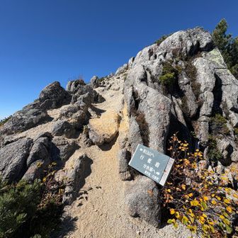 茶臼山の手前