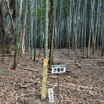沙美峠
竹林の中にあります。