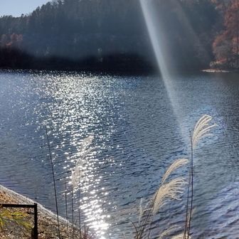 なんかね、キラキラは見ているだけで
幸せな気持ちになるんです。
私おかしいのかな？😆