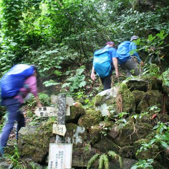 他の登山道との合流地点です。