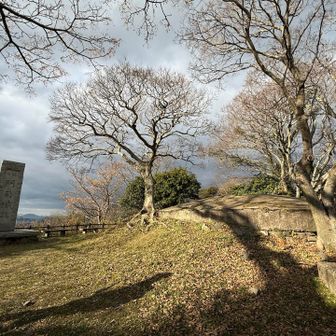 関門城跡につきました
三角点は左側横あたりのところ。
山頂標識は見つけられませんでした。