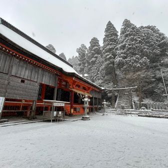 今日は参拝客はいない？もよう