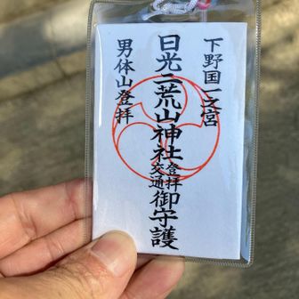 入山料1000円
駐車料500円
何かとお金が飛んでいくお山⛰️です
