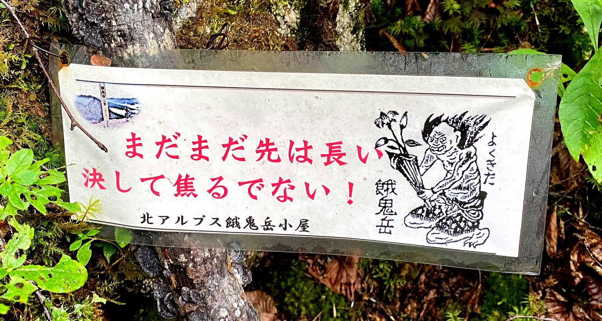 ここから先は急登で大変でした