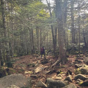 苔むした岩が🪨苦手すぎて、下山路の写真ほぼ無し😞