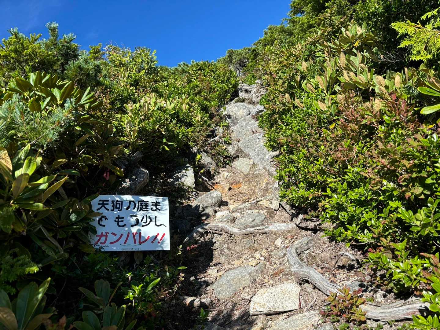七倉岳-船窪乗越-船窪岳 往復コースの写真
