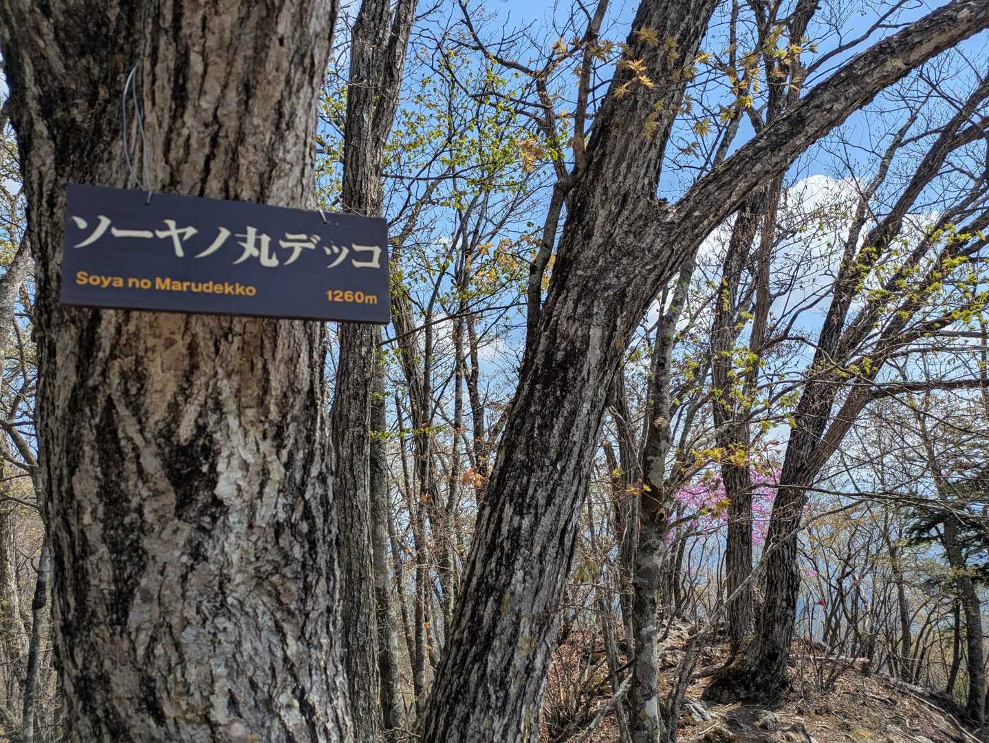まだ時間があったのでこちらのお山もピークハント🤭
『ソーヤノ丸デッコ』
変わったお山の名前です😂