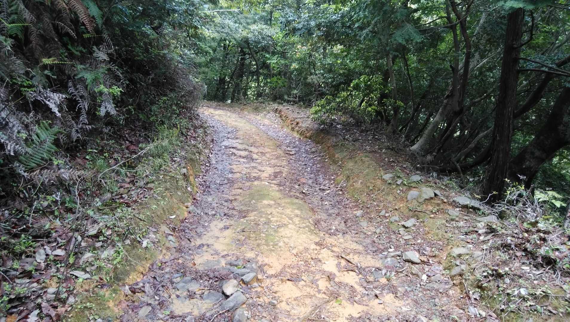 高天山 往復コースの写真