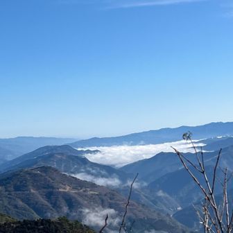 雲海=来て良かった