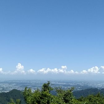 景信山とうちゃこ〜～
都心方面にはモクモク積雲が☁
