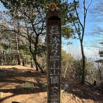 呉娑々宇山(ごさそうざん)🏔️
ガオくんと一緒🦁