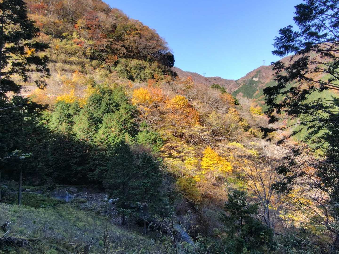 紅葉も進んでいます