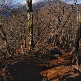 駆け下りるのが勿体ない＼ʕ^o^ʔ／