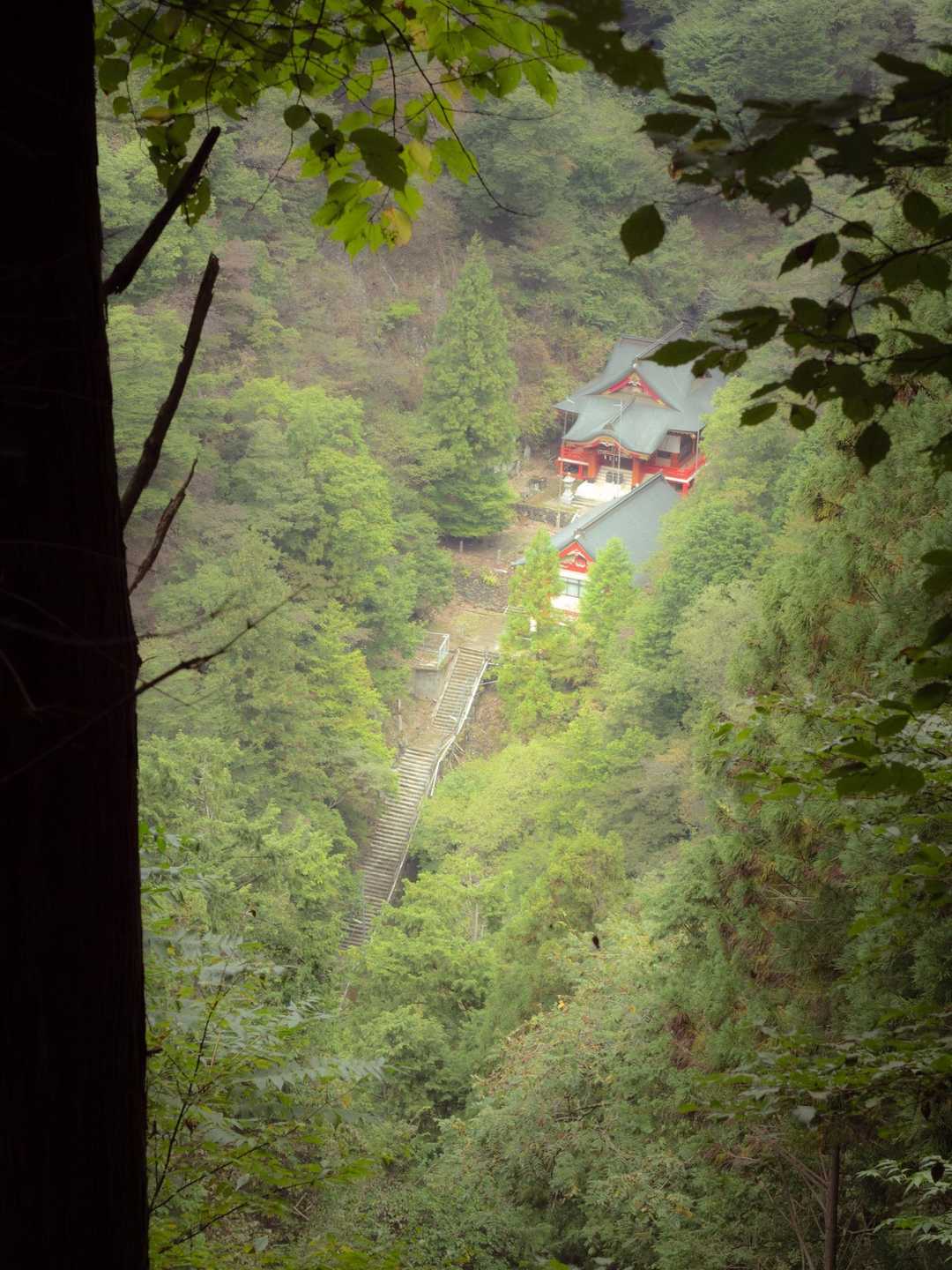 甲州高尾山-柏尾山-甲州高尾山登山口 縦走コースの写真