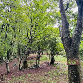 台風の影響で強風なのでとても気持ちいい
お一人の方とこんにちは
上は風がヤバいから気をつけてと
情報ありがとうございます