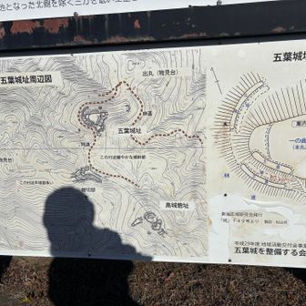 縄張り図、大して遺構は残ってません。