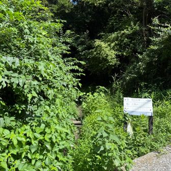 前回あまりの疲労に行かなかった道を下り