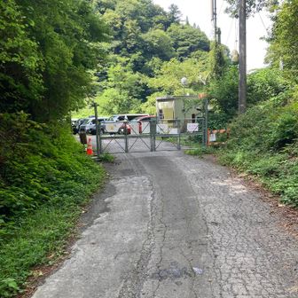 長い林道歩きがようやく終了。お疲れ様でした
