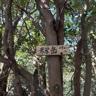 籾山登頂