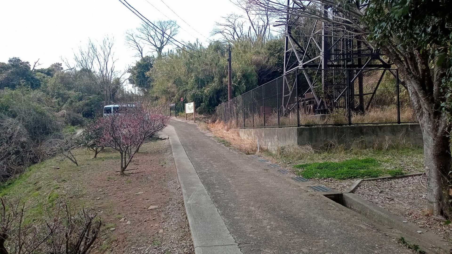 なんと、車が上がってきた。
展望所まで歩きたいとのこと。