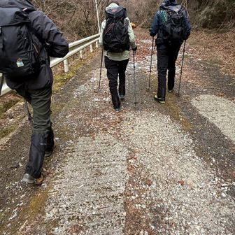 スタートはこんな程度